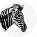 Investec logo